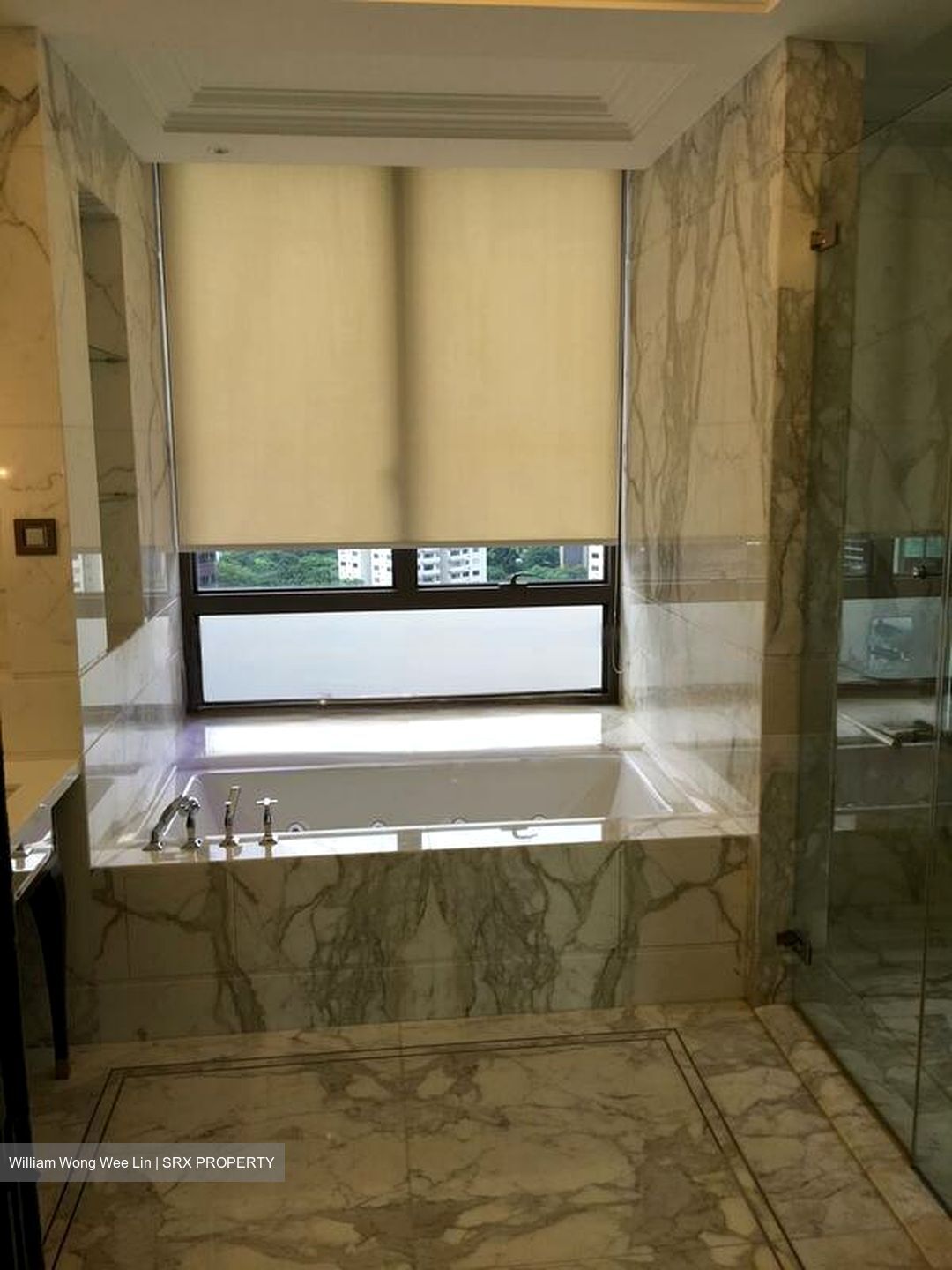 Parkview Eclat (D10), Condominium #479955341